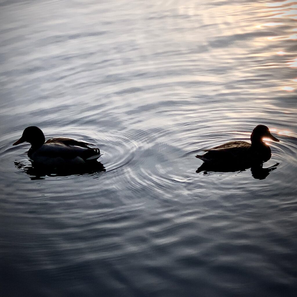 Elterncoaching Berlin Mitte - Trennung mit Kindern