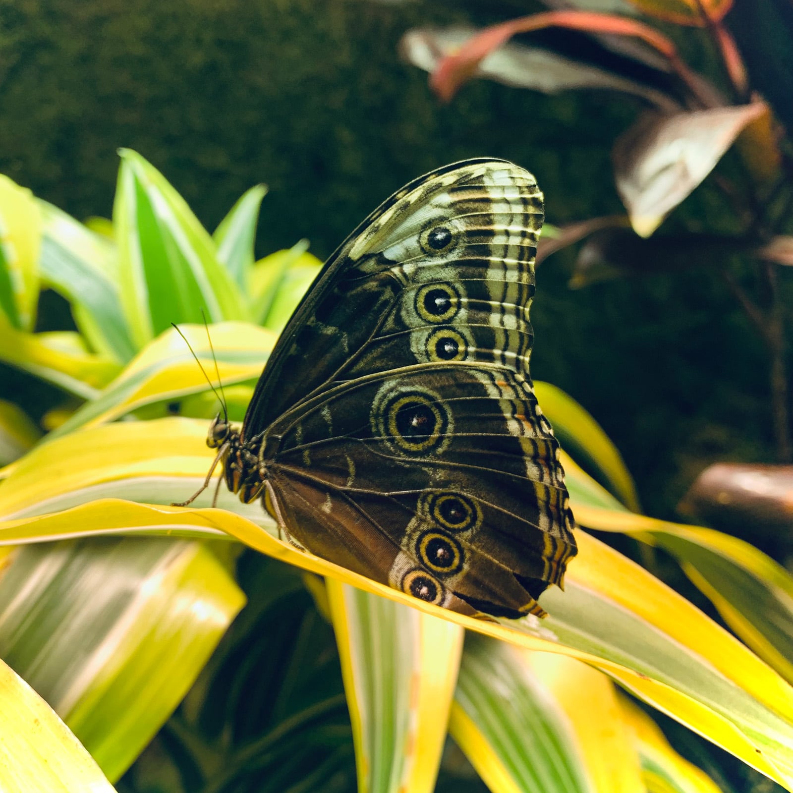 Elterncoaching Berlin Coaching für Eltern von Erwachsenen