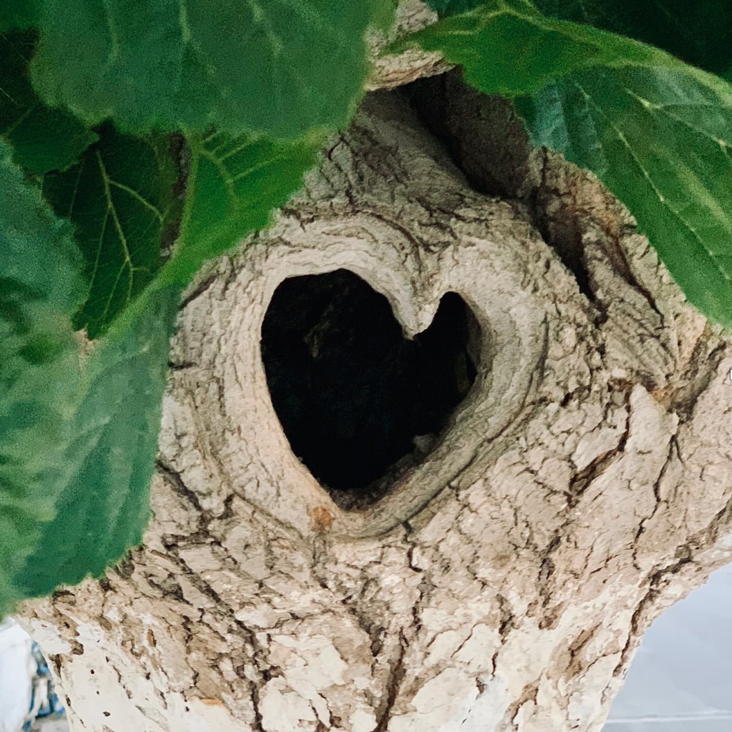 Psychotherapie Berlin Mitte