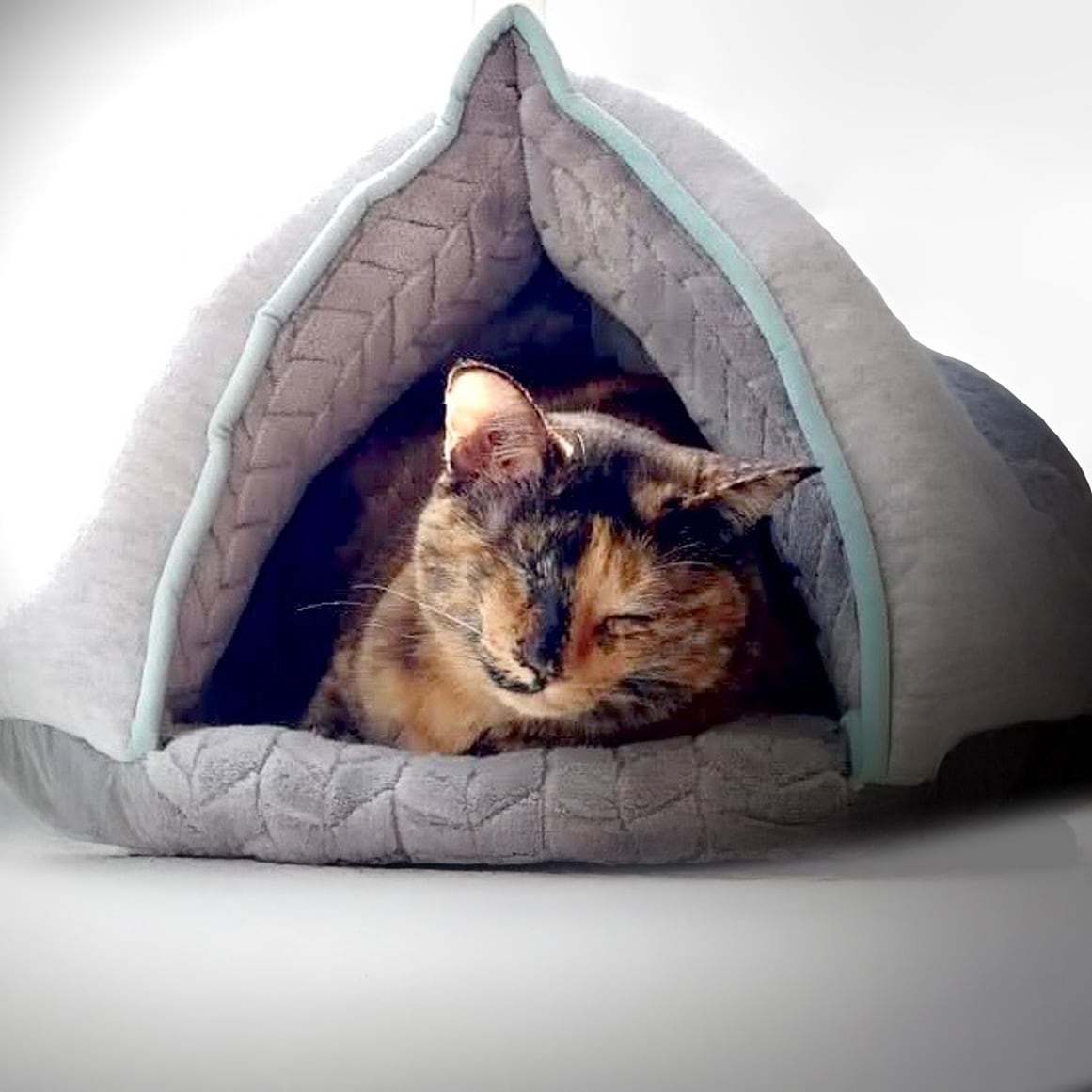 Psychologisches Coaching Berlin Ava Bringmann Slak